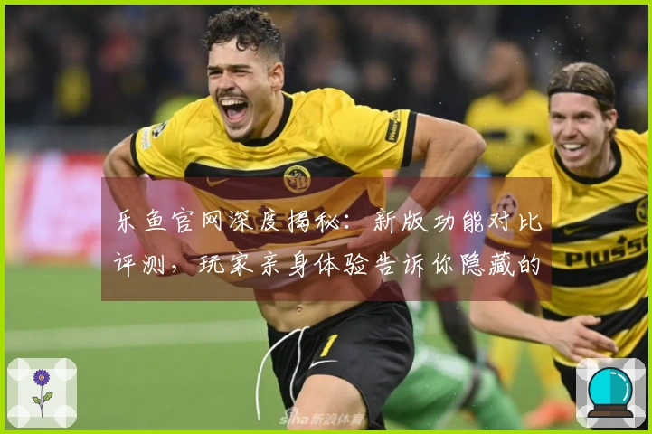 乐鱼官网深度揭秘：新版功能对比评测，玩家亲身体验告诉你隐藏的巨变